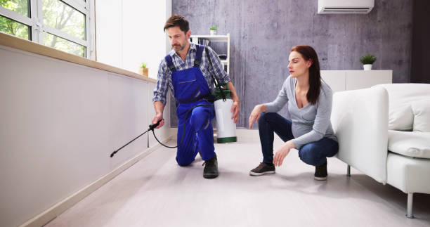 Best Pest Exclusion Services  in Mount Ida, AR